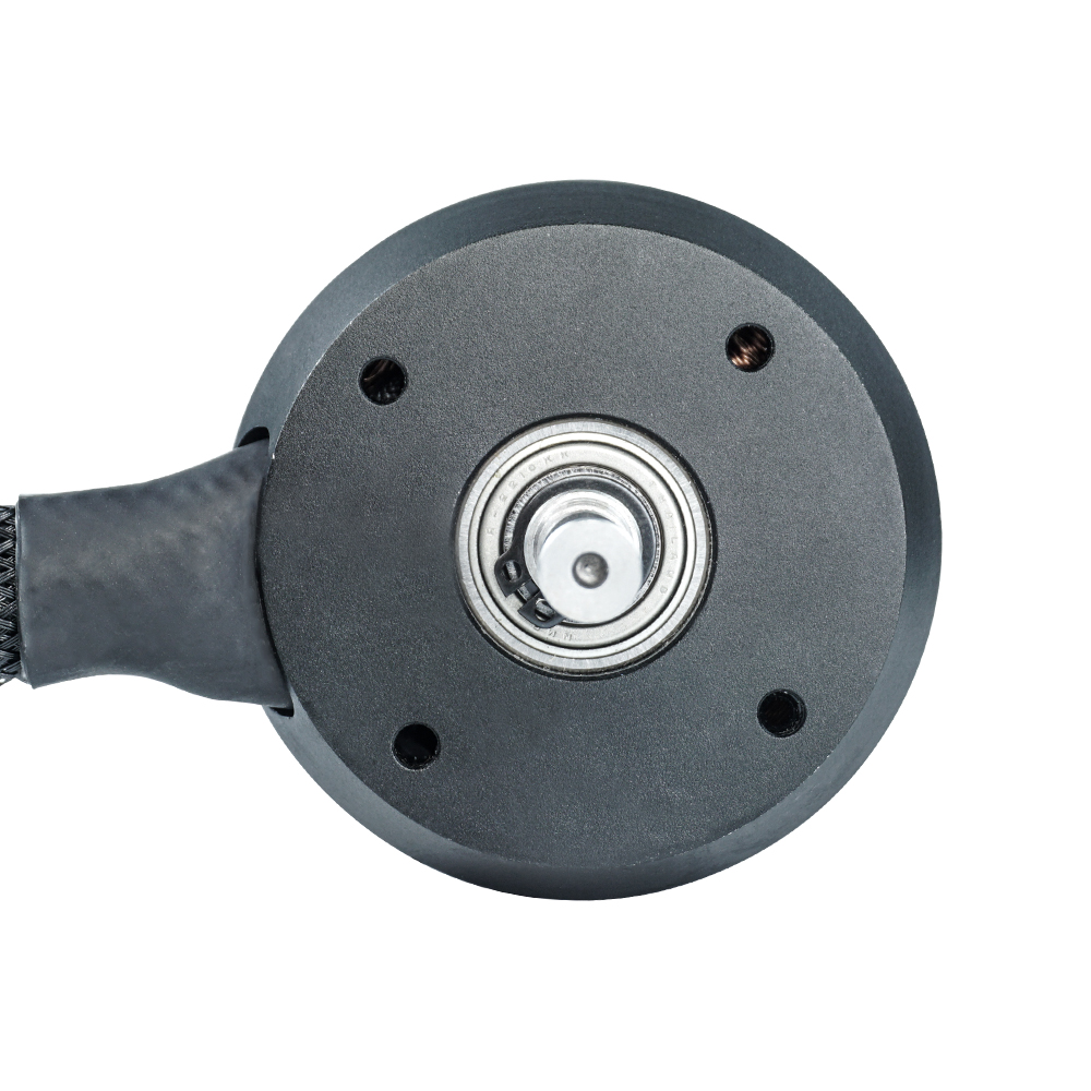 Flipsky Sentalitasberlari Tanp - 63100 Brushless Motor 140Kv ulasan dan harga